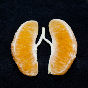 arancia polmoni